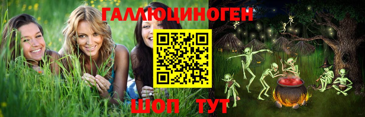 Калининград  Галлюциногенные грибы Psilocybine cubensis  Вход с VPN 